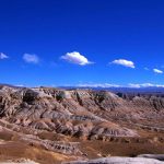tholing forest zanda Tibet